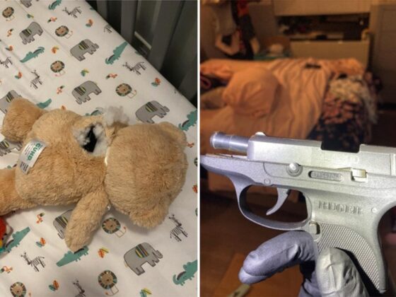 NYC man hid gun in teddy bear after shooting at cop: prosecutors