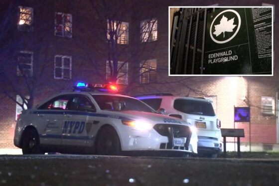 Girl, 14, struck by possible stray bullet in Thanksgiving NYC shooting: cops